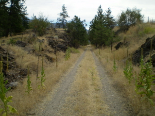 This part of the bypass trail looks like the KVR rail bed, Kettle Valley Railway Okanagan Falls to Vaseux Lake, 2011-08.